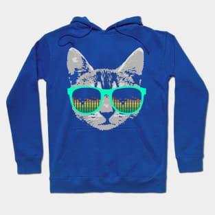 Music Cat with Glasses Hoodie